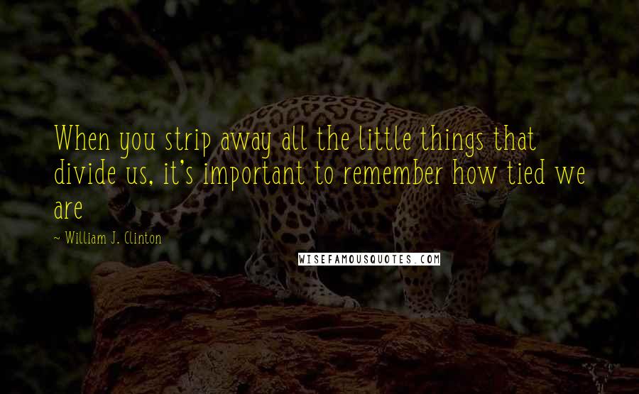 William J. Clinton Quotes: When you strip away all the little things that divide us, it's important to remember how tied we are