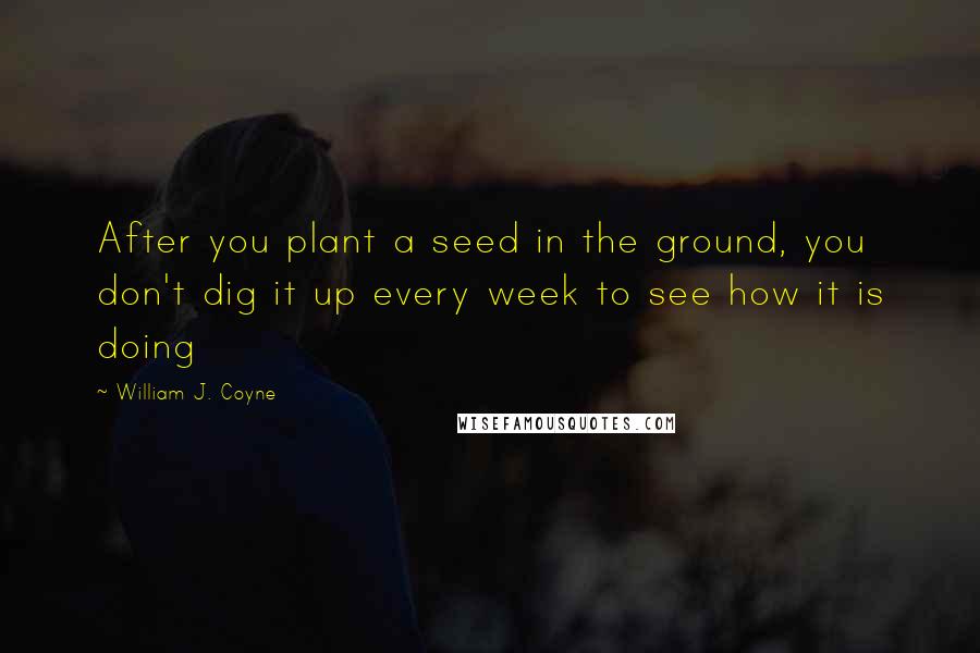 William J. Coyne Quotes: After you plant a seed in the ground, you don't dig it up every week to see how it is doing