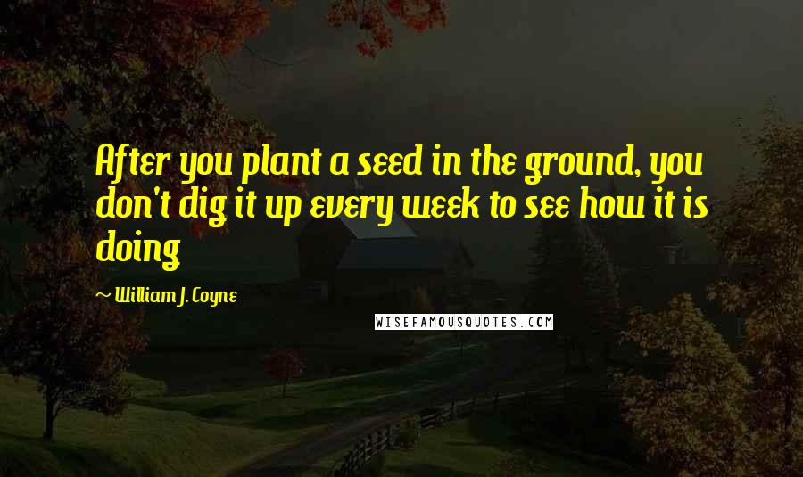 William J. Coyne Quotes: After you plant a seed in the ground, you don't dig it up every week to see how it is doing