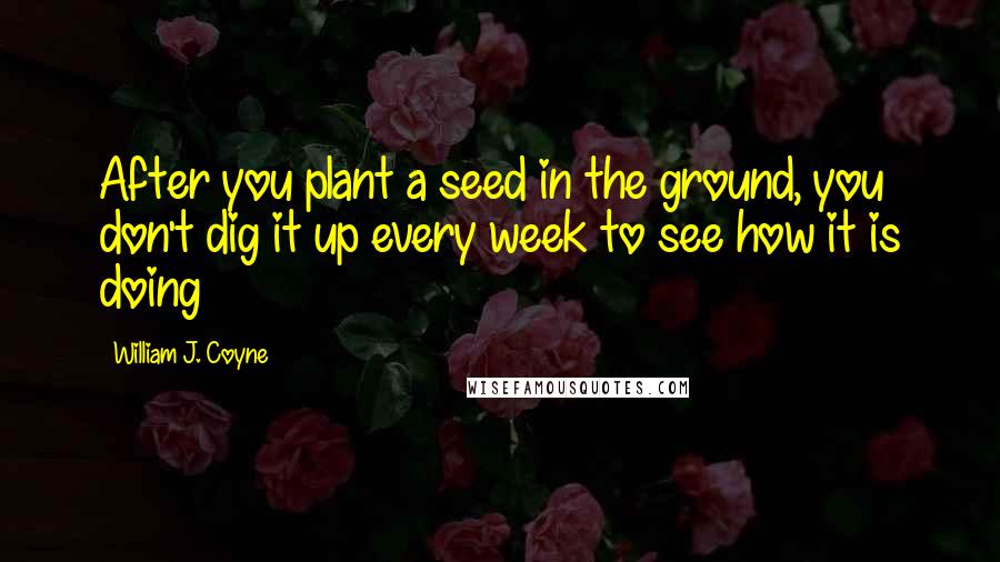 William J. Coyne Quotes: After you plant a seed in the ground, you don't dig it up every week to see how it is doing