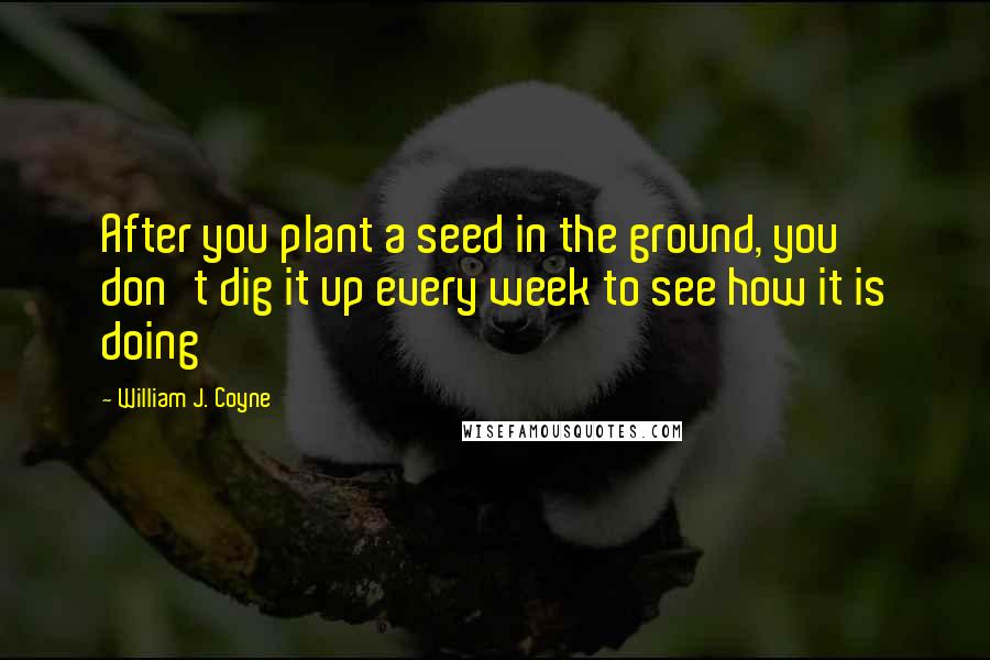 William J. Coyne Quotes: After you plant a seed in the ground, you don't dig it up every week to see how it is doing