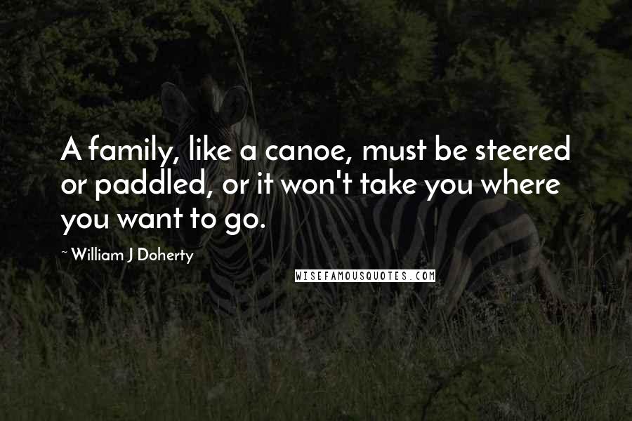 William J Doherty Quotes: A family, like a canoe, must be steered or paddled, or it won't take you where you want to go.