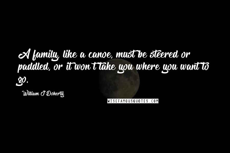 William J Doherty Quotes: A family, like a canoe, must be steered or paddled, or it won't take you where you want to go.