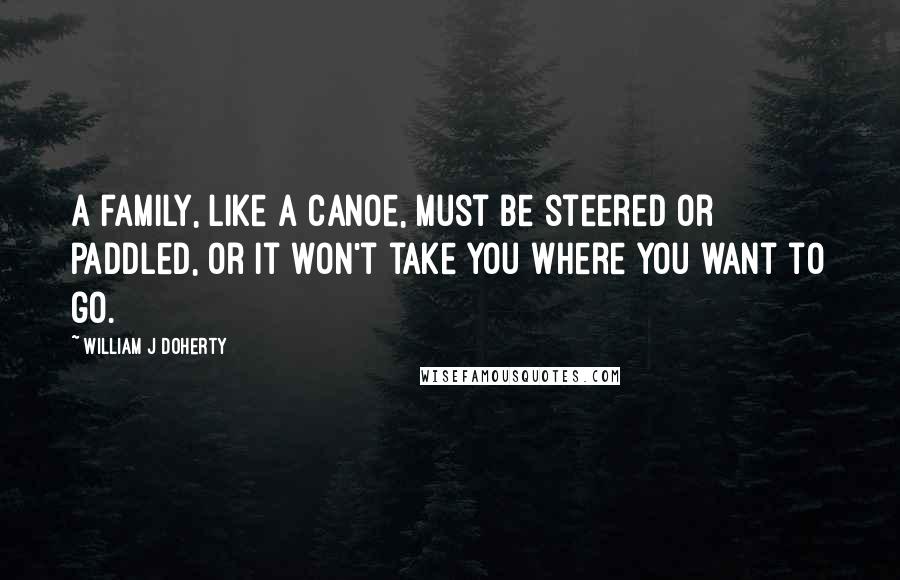 William J Doherty Quotes: A family, like a canoe, must be steered or paddled, or it won't take you where you want to go.