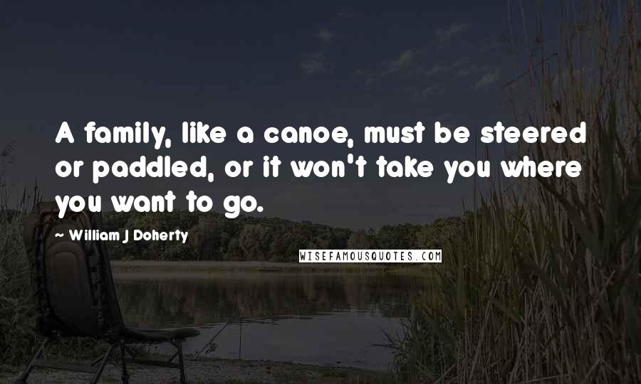 William J Doherty Quotes: A family, like a canoe, must be steered or paddled, or it won't take you where you want to go.