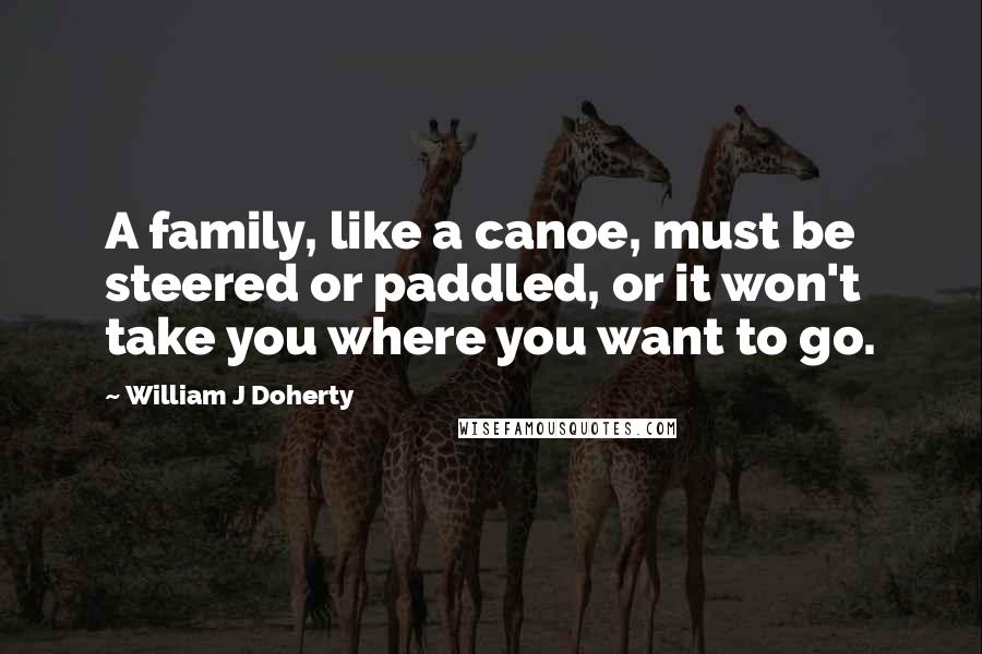 William J Doherty Quotes: A family, like a canoe, must be steered or paddled, or it won't take you where you want to go.