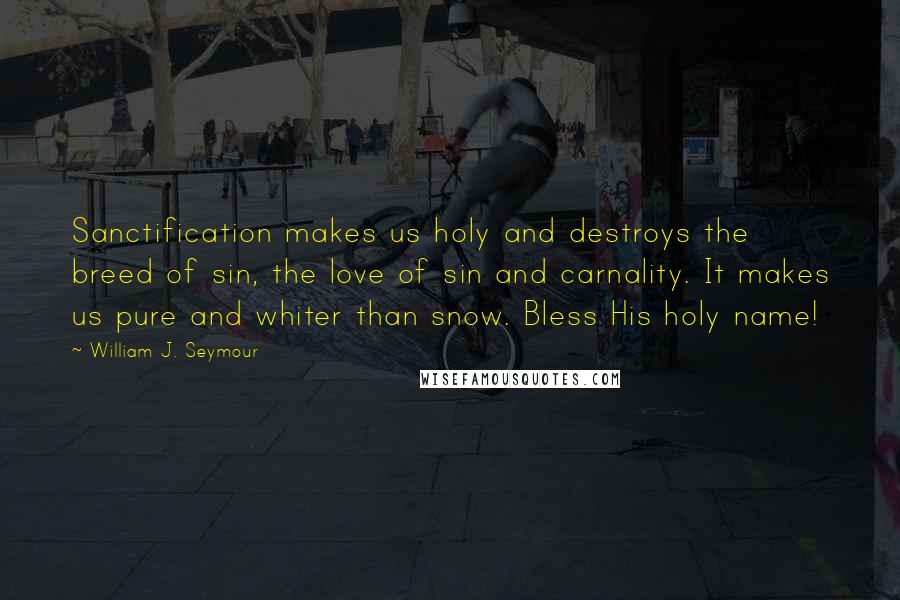 William J. Seymour Quotes: Sanctification makes us holy and destroys the breed of sin, the love of sin and carnality. It makes us pure and whiter than snow. Bless His holy name!