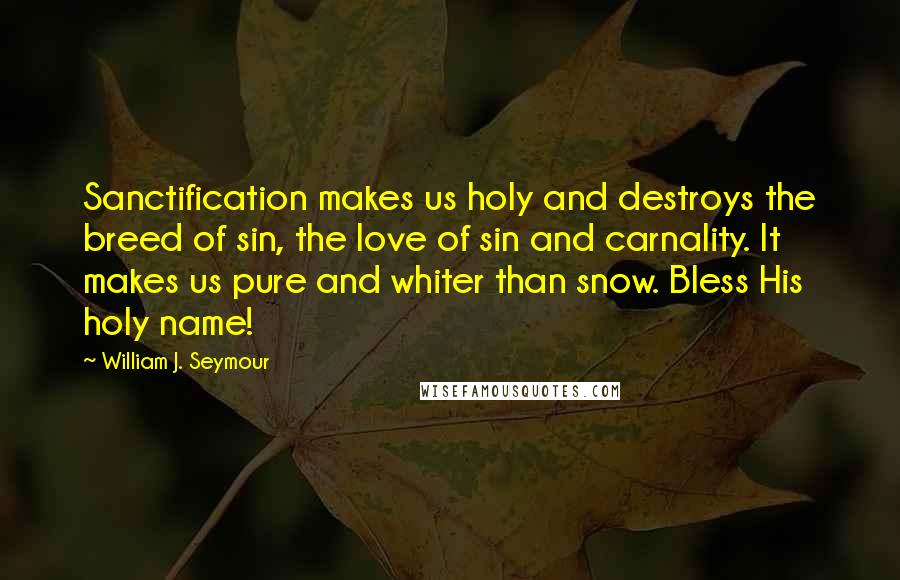 William J. Seymour Quotes: Sanctification makes us holy and destroys the breed of sin, the love of sin and carnality. It makes us pure and whiter than snow. Bless His holy name!