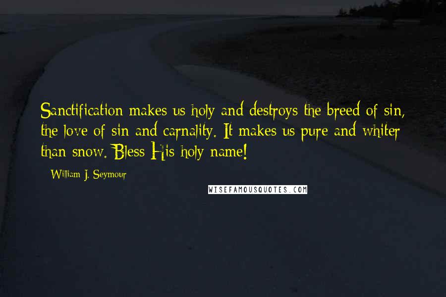 William J. Seymour Quotes: Sanctification makes us holy and destroys the breed of sin, the love of sin and carnality. It makes us pure and whiter than snow. Bless His holy name!