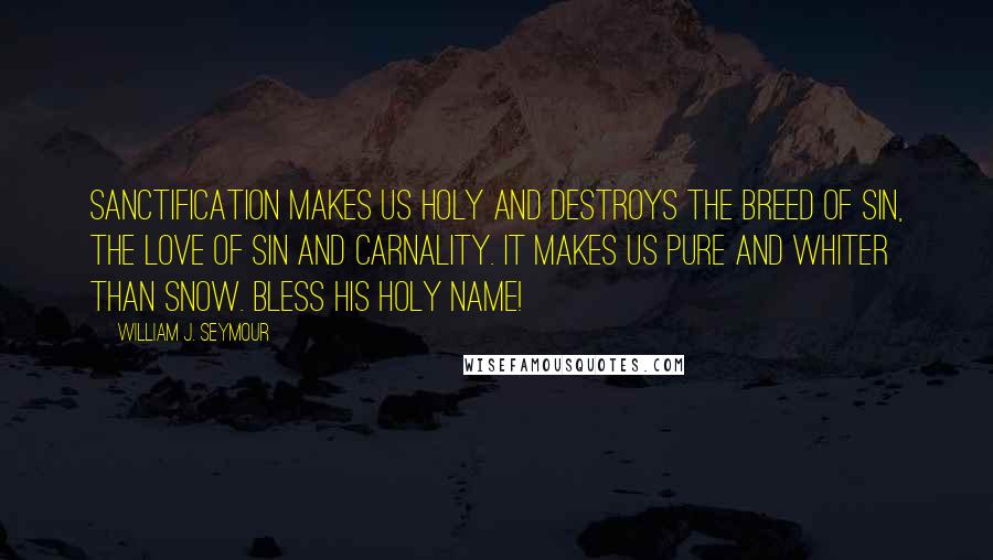 William J. Seymour Quotes: Sanctification makes us holy and destroys the breed of sin, the love of sin and carnality. It makes us pure and whiter than snow. Bless His holy name!