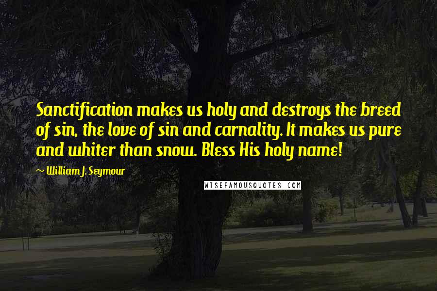 William J. Seymour Quotes: Sanctification makes us holy and destroys the breed of sin, the love of sin and carnality. It makes us pure and whiter than snow. Bless His holy name!