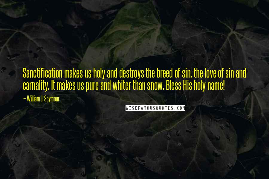 William J. Seymour Quotes: Sanctification makes us holy and destroys the breed of sin, the love of sin and carnality. It makes us pure and whiter than snow. Bless His holy name!