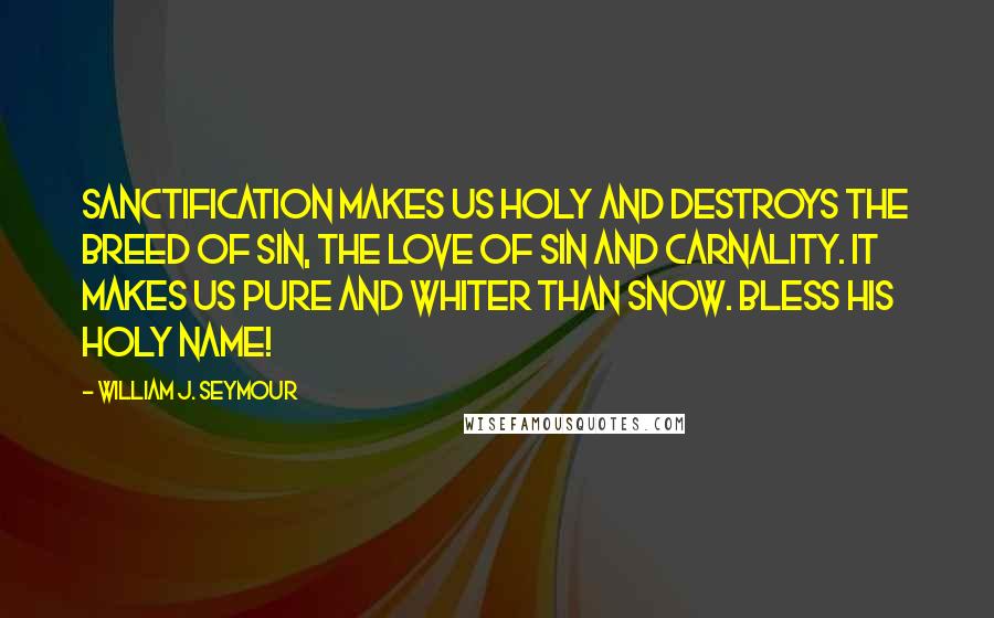 William J. Seymour Quotes: Sanctification makes us holy and destroys the breed of sin, the love of sin and carnality. It makes us pure and whiter than snow. Bless His holy name!