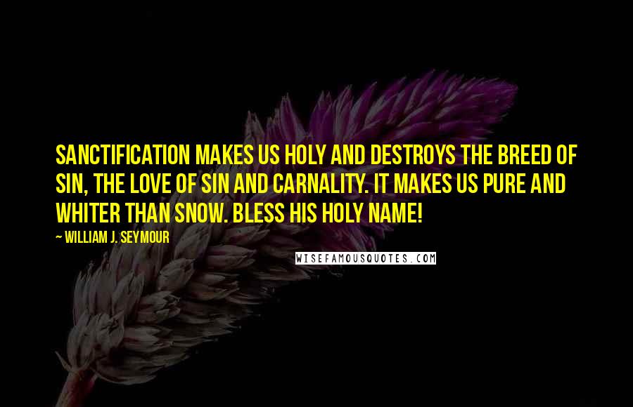 William J. Seymour Quotes: Sanctification makes us holy and destroys the breed of sin, the love of sin and carnality. It makes us pure and whiter than snow. Bless His holy name!