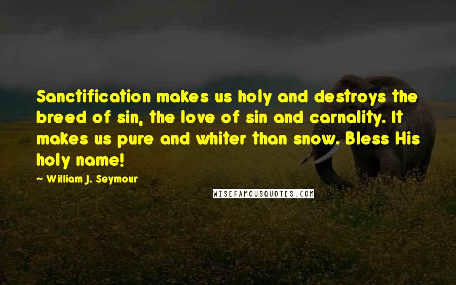 William J. Seymour Quotes: Sanctification makes us holy and destroys the breed of sin, the love of sin and carnality. It makes us pure and whiter than snow. Bless His holy name!