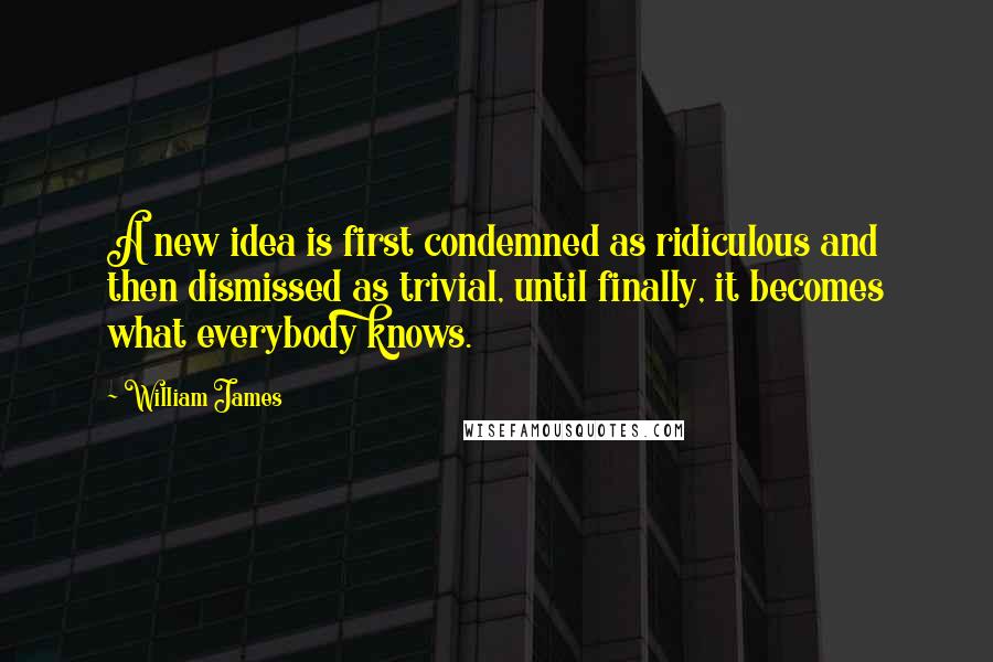 William James Quotes: A new idea is first condemned as ridiculous and then dismissed as trivial, until finally, it becomes what everybody knows.