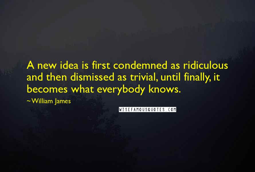 William James Quotes: A new idea is first condemned as ridiculous and then dismissed as trivial, until finally, it becomes what everybody knows.
