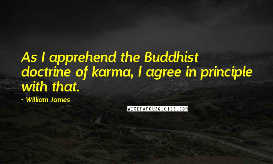 William James Quotes: As I apprehend the Buddhist doctrine of karma, I agree in principle with that.