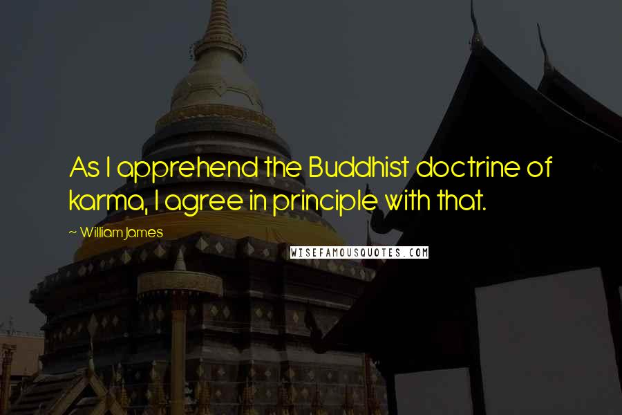 William James Quotes: As I apprehend the Buddhist doctrine of karma, I agree in principle with that.