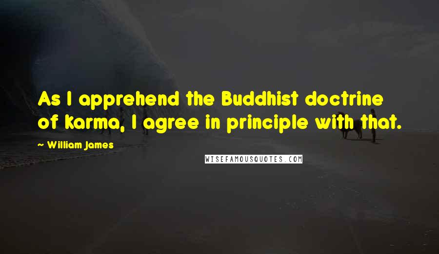 William James Quotes: As I apprehend the Buddhist doctrine of karma, I agree in principle with that.