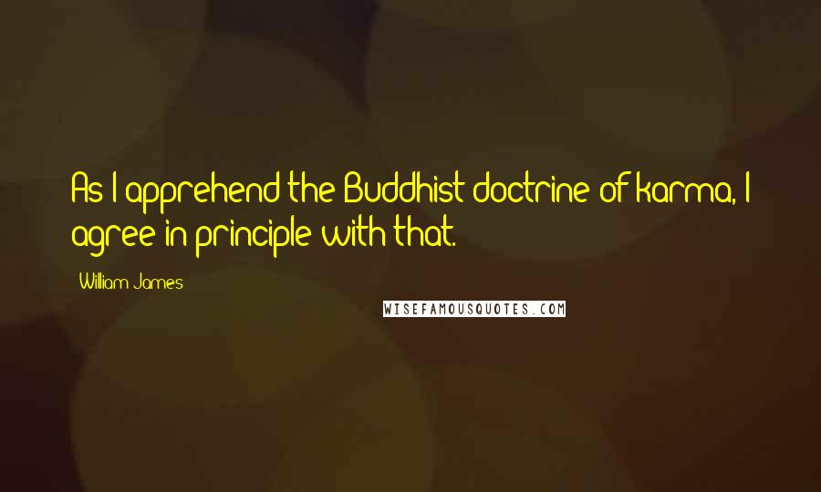 William James Quotes: As I apprehend the Buddhist doctrine of karma, I agree in principle with that.