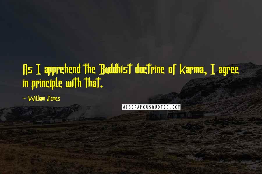 William James Quotes: As I apprehend the Buddhist doctrine of karma, I agree in principle with that.