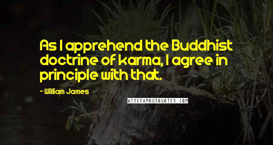 William James Quotes: As I apprehend the Buddhist doctrine of karma, I agree in principle with that.