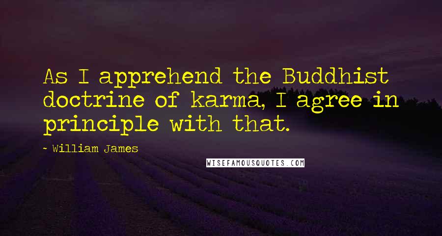 William James Quotes: As I apprehend the Buddhist doctrine of karma, I agree in principle with that.