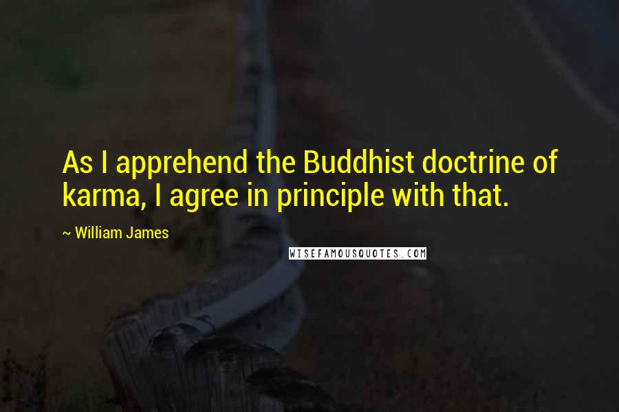 William James Quotes: As I apprehend the Buddhist doctrine of karma, I agree in principle with that.