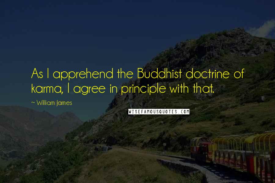 William James Quotes: As I apprehend the Buddhist doctrine of karma, I agree in principle with that.