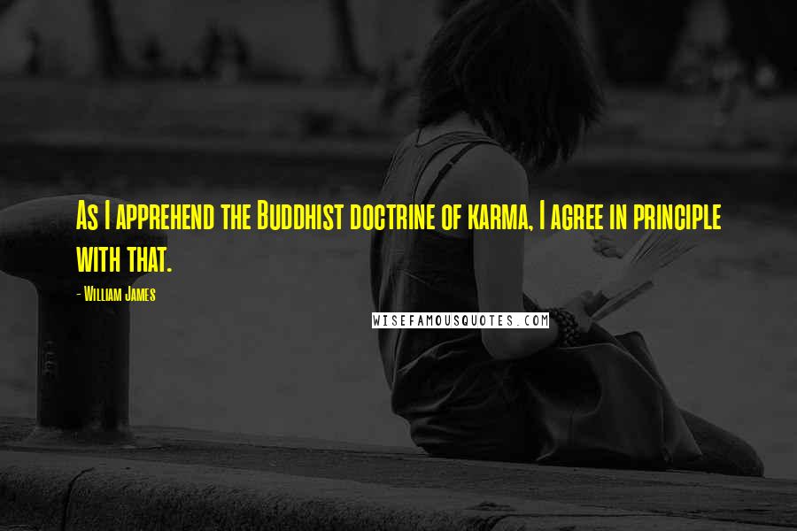 William James Quotes: As I apprehend the Buddhist doctrine of karma, I agree in principle with that.