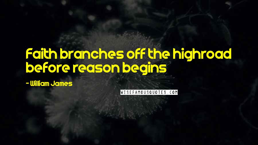 William James Quotes: Faith branches off the highroad before reason begins