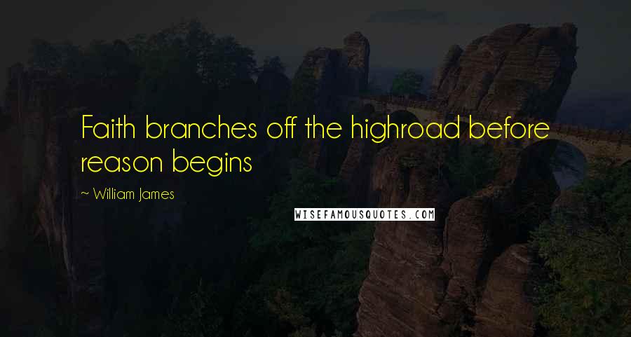 William James Quotes: Faith branches off the highroad before reason begins