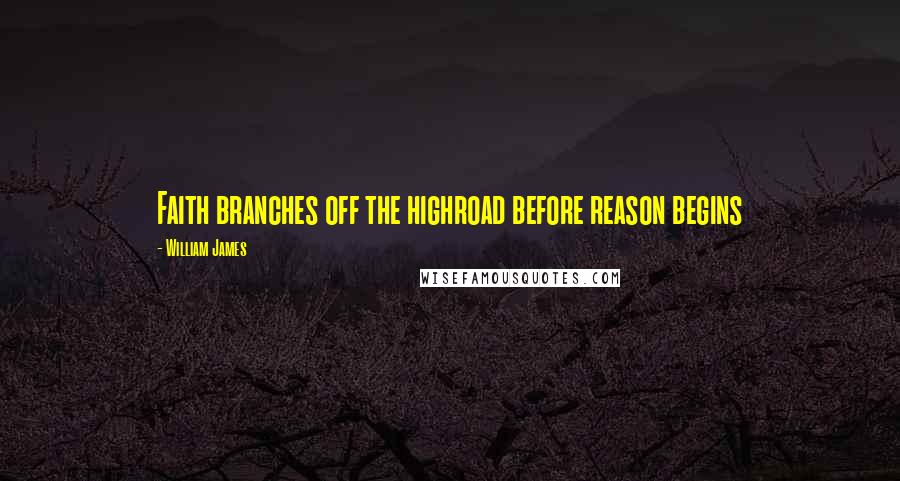 William James Quotes: Faith branches off the highroad before reason begins