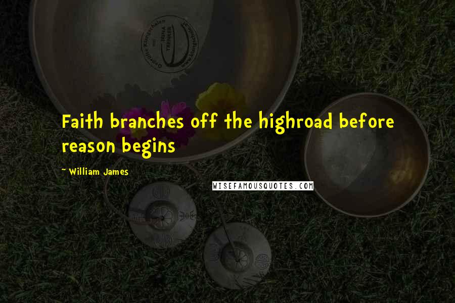 William James Quotes: Faith branches off the highroad before reason begins