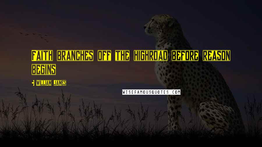 William James Quotes: Faith branches off the highroad before reason begins