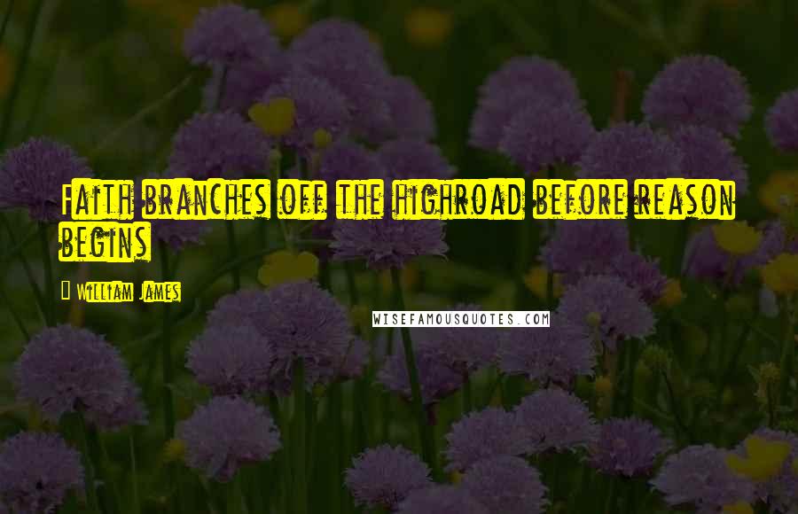William James Quotes: Faith branches off the highroad before reason begins