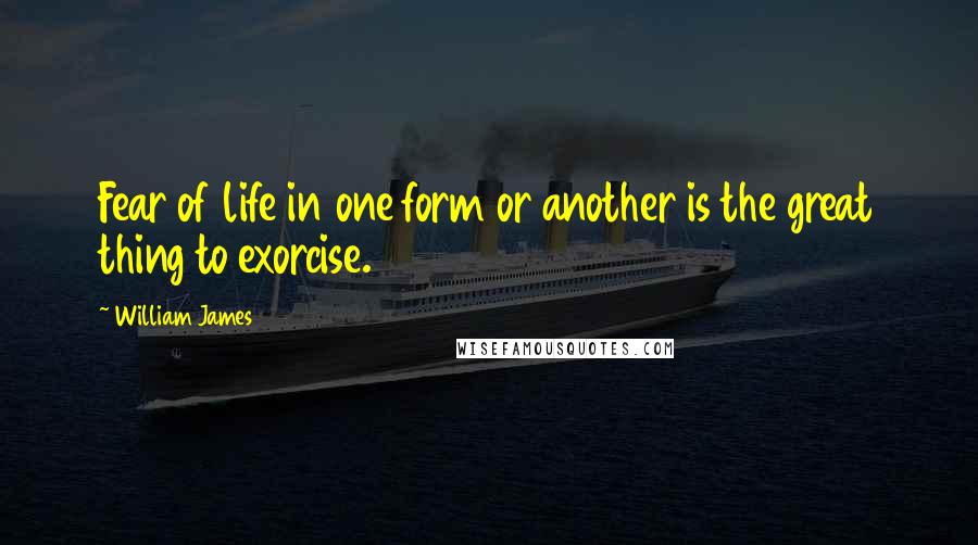 William James Quotes: Fear of life in one form or another is the great thing to exorcise.