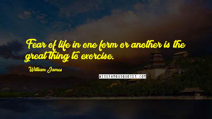 William James Quotes: Fear of life in one form or another is the great thing to exorcise.