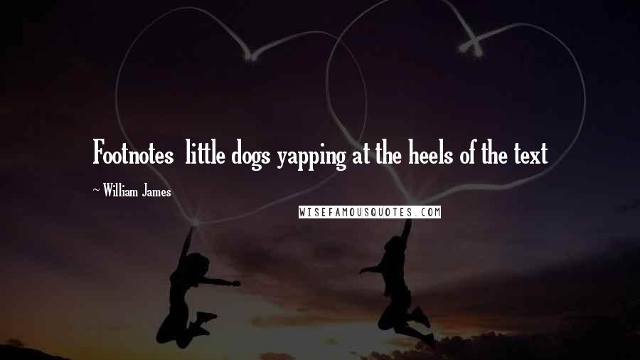 William James Quotes: Footnotes little dogs yapping at the heels of the text