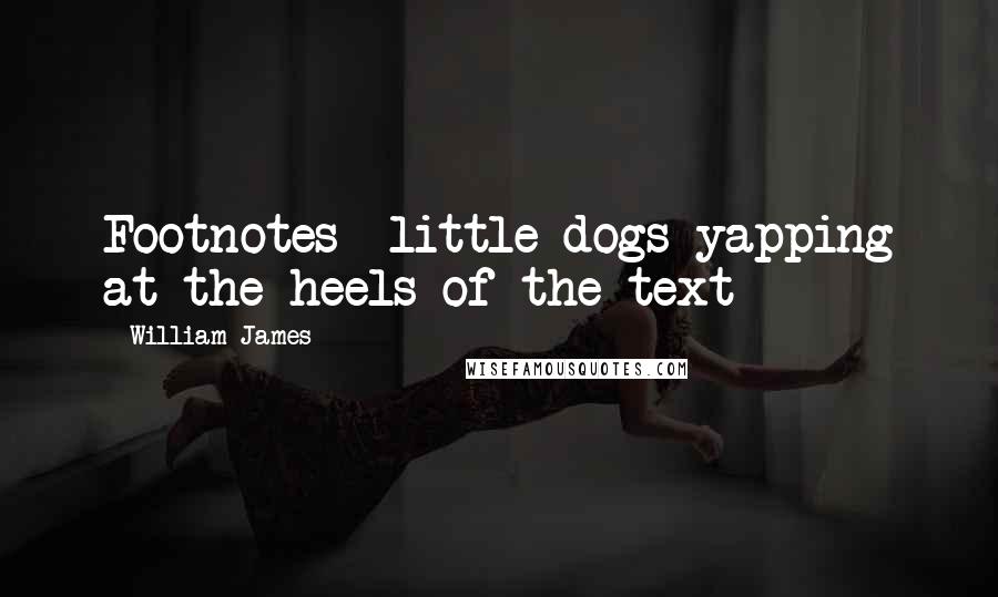 William James Quotes: Footnotes  little dogs yapping at the heels of the text