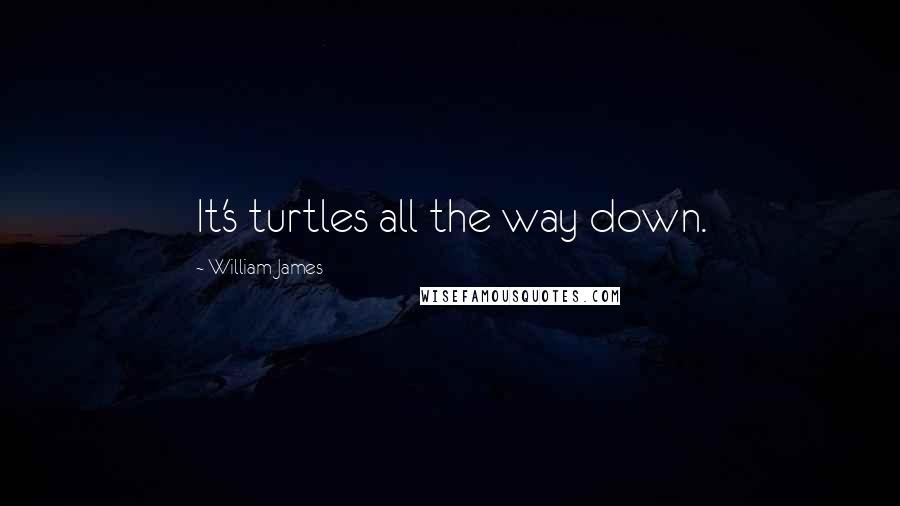 William James Quotes: It's turtles all the way down.