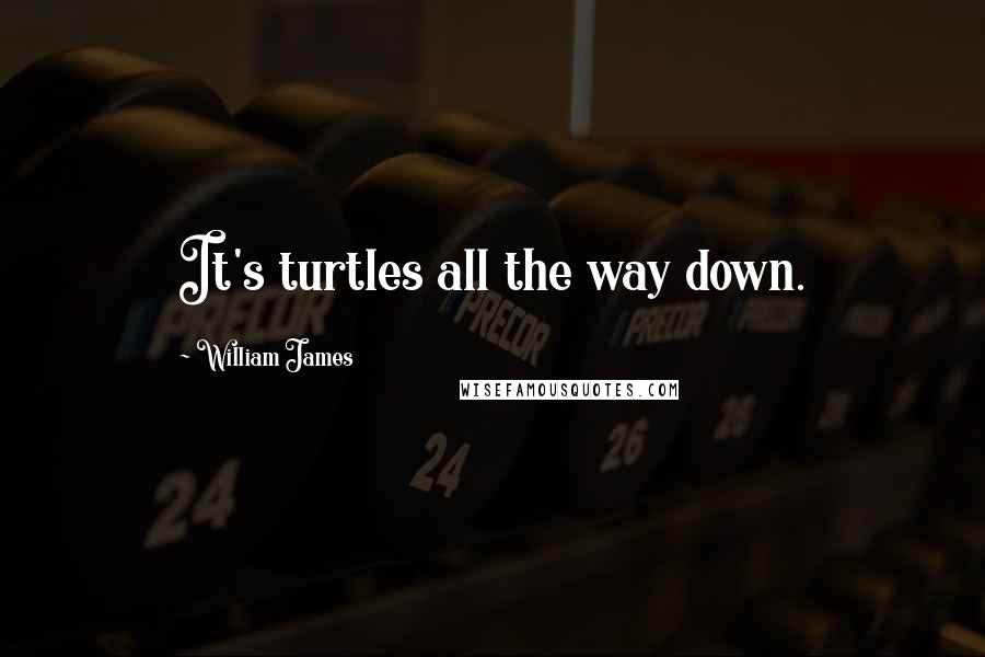William James Quotes: It's turtles all the way down.