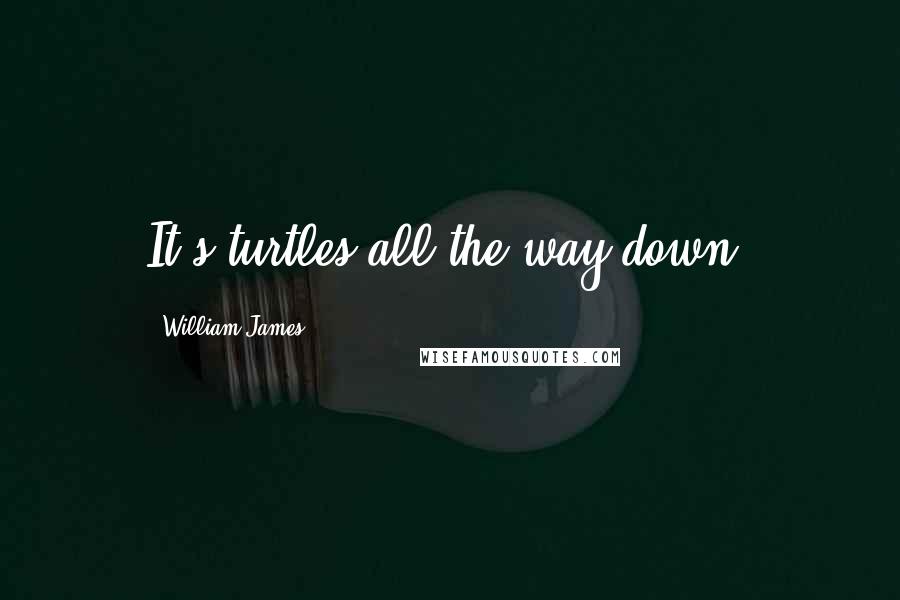 William James Quotes: It's turtles all the way down.