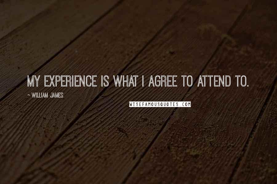 William James Quotes: My experience is what I agree to attend to.