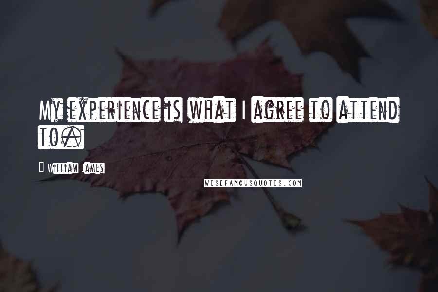 William James Quotes: My experience is what I agree to attend to.