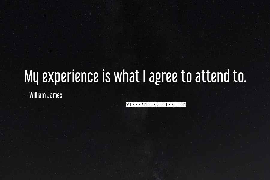 William James Quotes: My experience is what I agree to attend to.