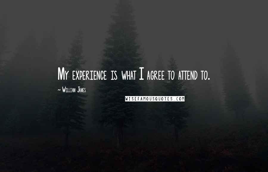 William James Quotes: My experience is what I agree to attend to.