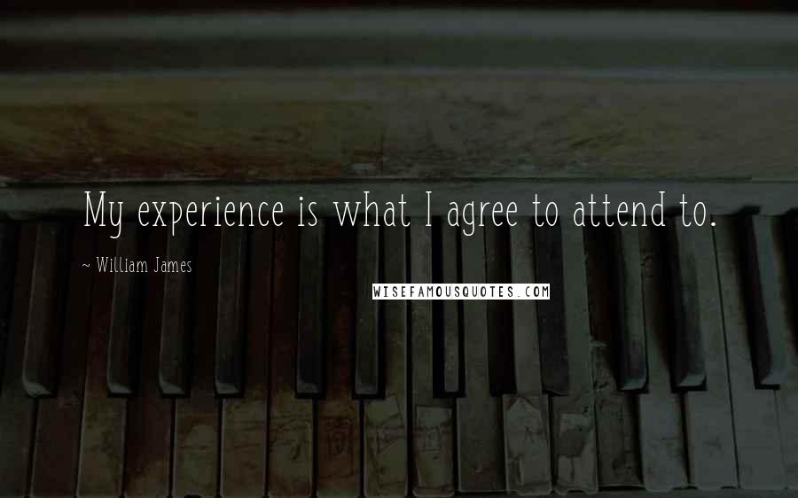 William James Quotes: My experience is what I agree to attend to.