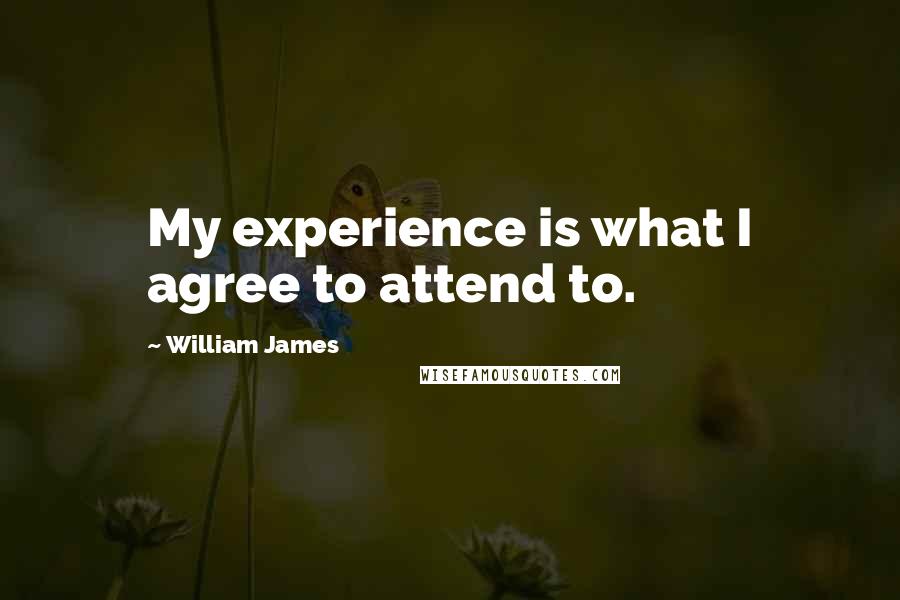 William James Quotes: My experience is what I agree to attend to.
